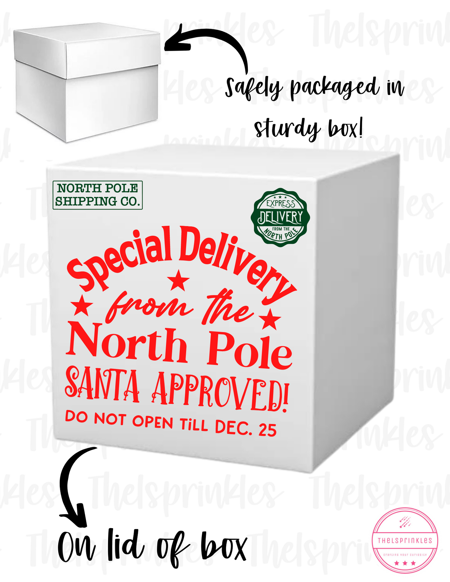Christmas Eve Box, Santa Box
